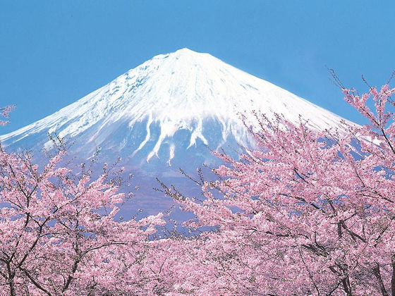 日本东京/京都/大阪/名古屋7日游